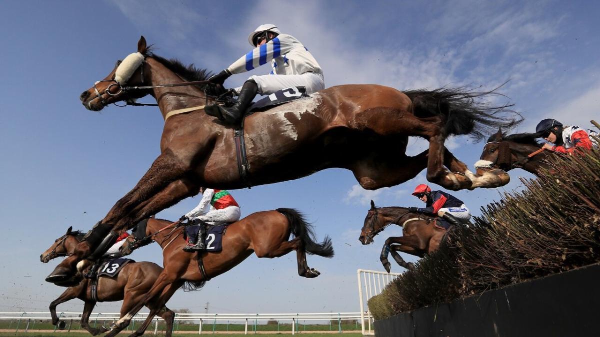 Southwell jumps